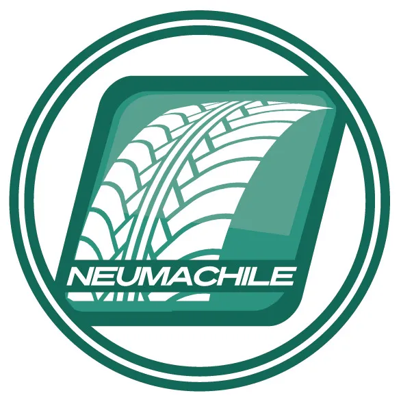 NEUMATICO 24.00/35 42PR E4-L4 HONOUR