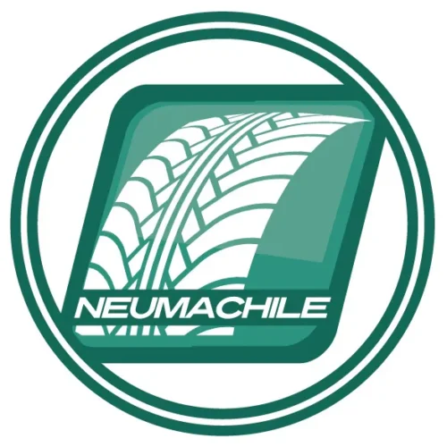 PIRELLI 255/50 R19 107H XL r-f S-VEas(*)
